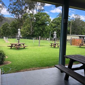 The Golden Dog Hotel